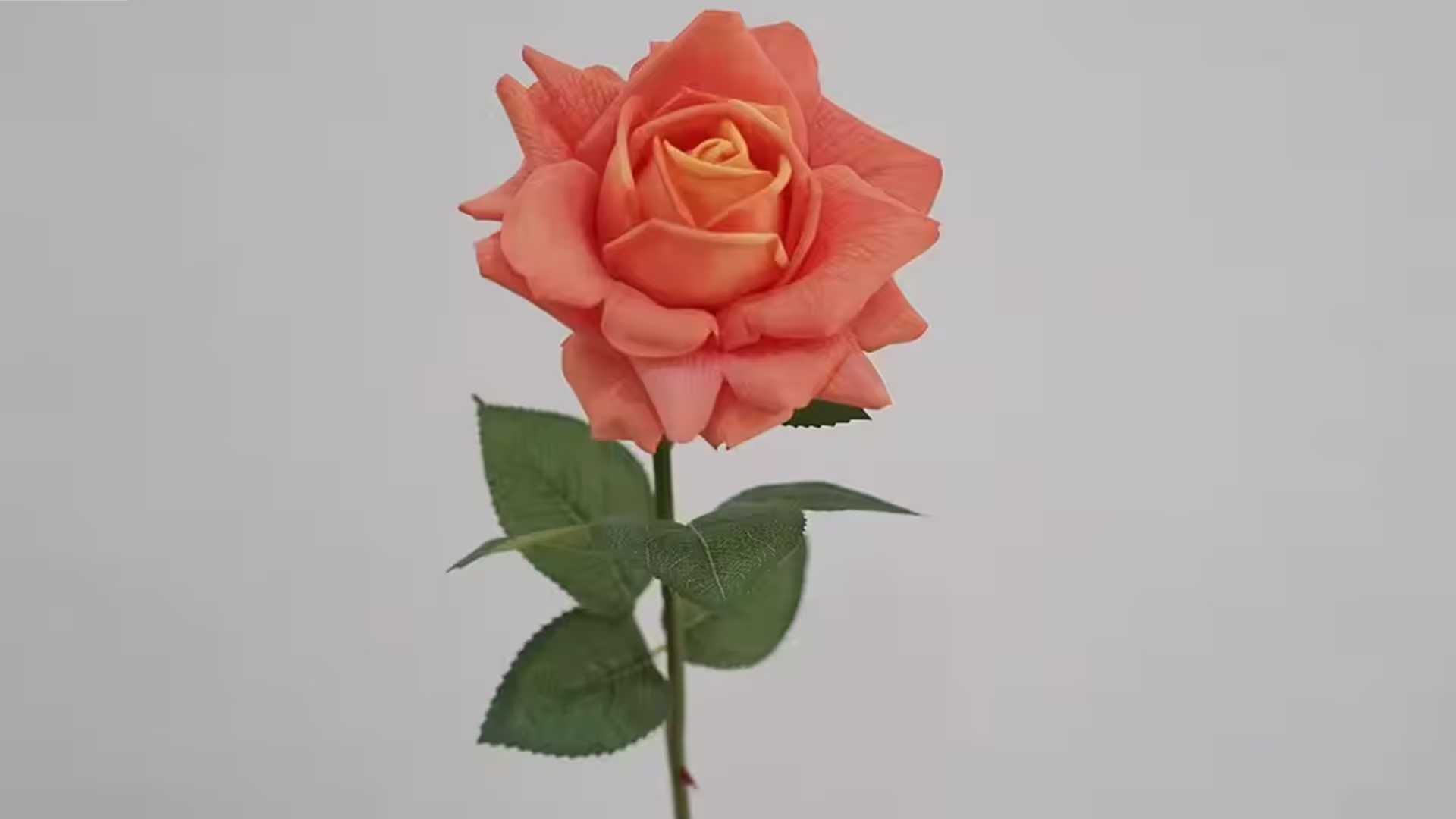 40cm Real Touch Flower Moisturize Austin Rose Artificial Flowers