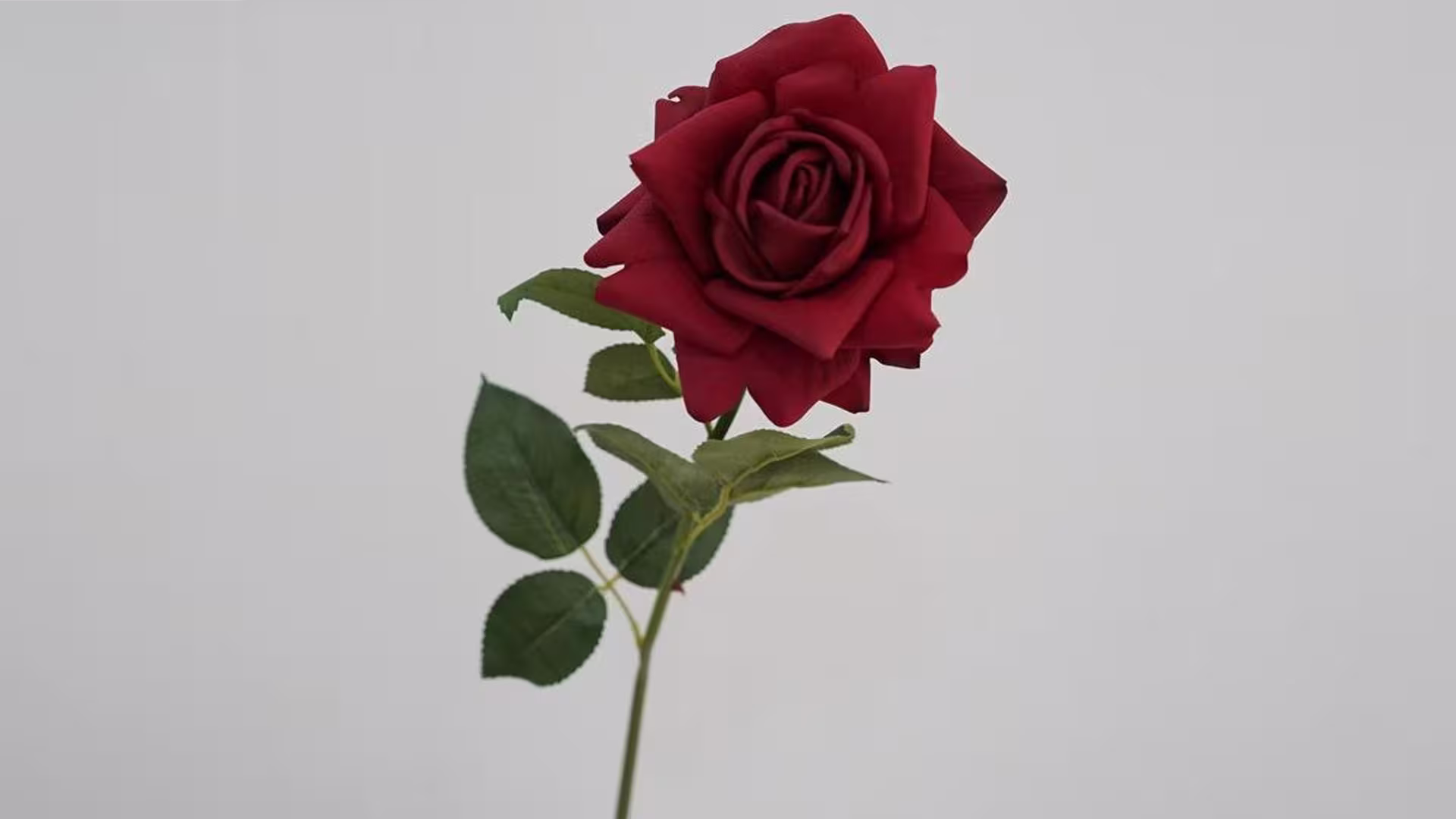 73cm Red  Real Touch Rose Artificial Flowers