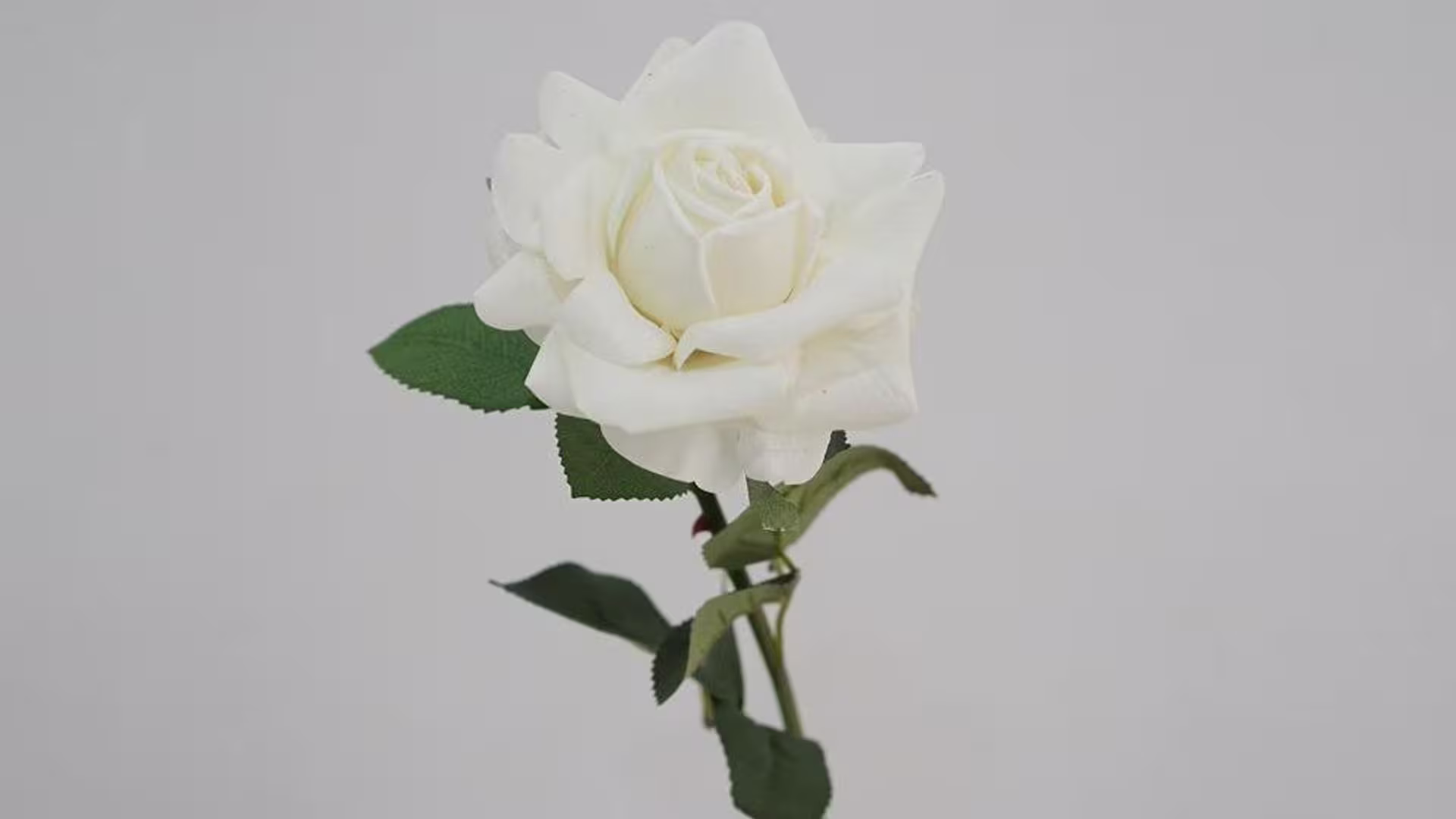 54cm White Real Touch Flowers Moisturising Rose
