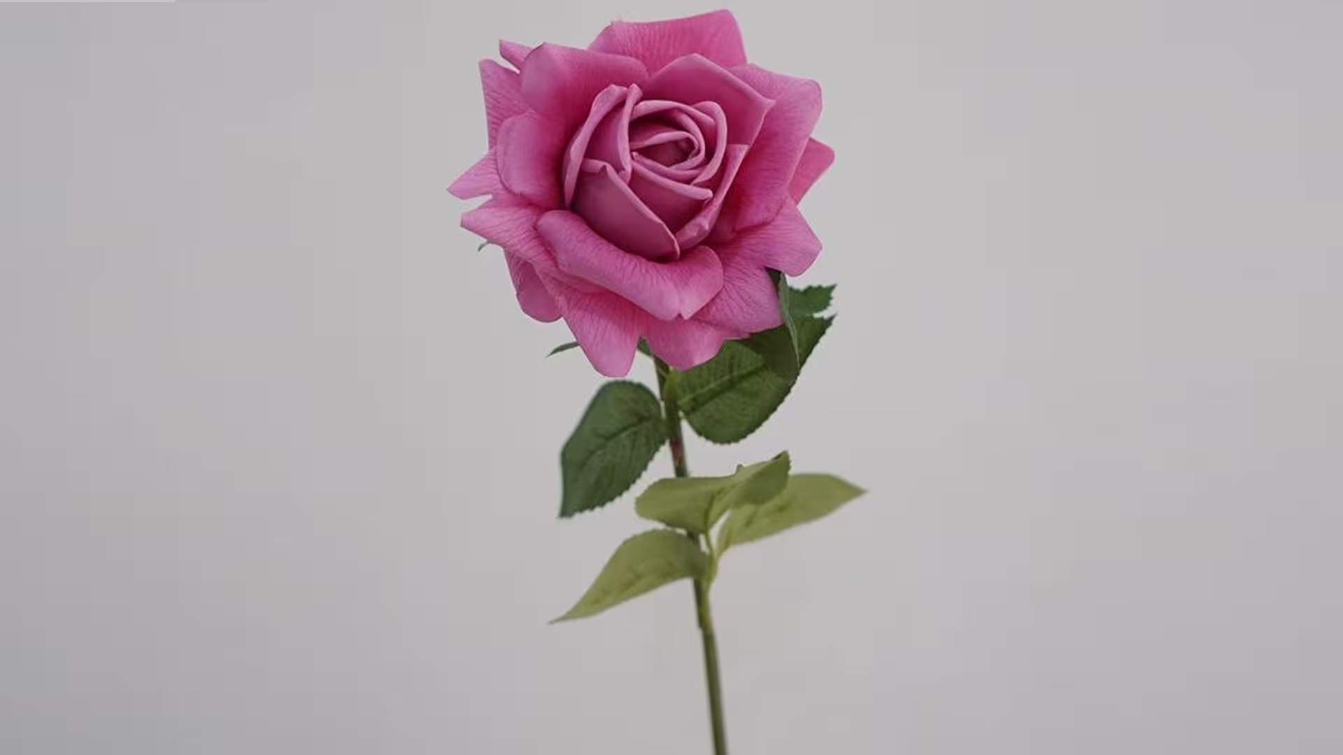 63cm Purple Real Touch Flower Moisturize Corolla Rose