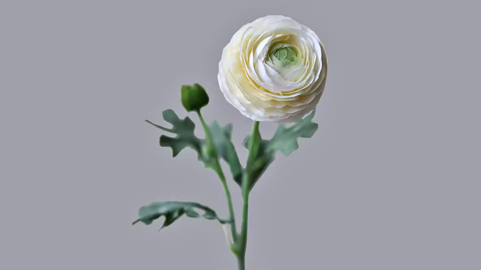 Professional Custom Single Artificial Ranunculus Flower Made