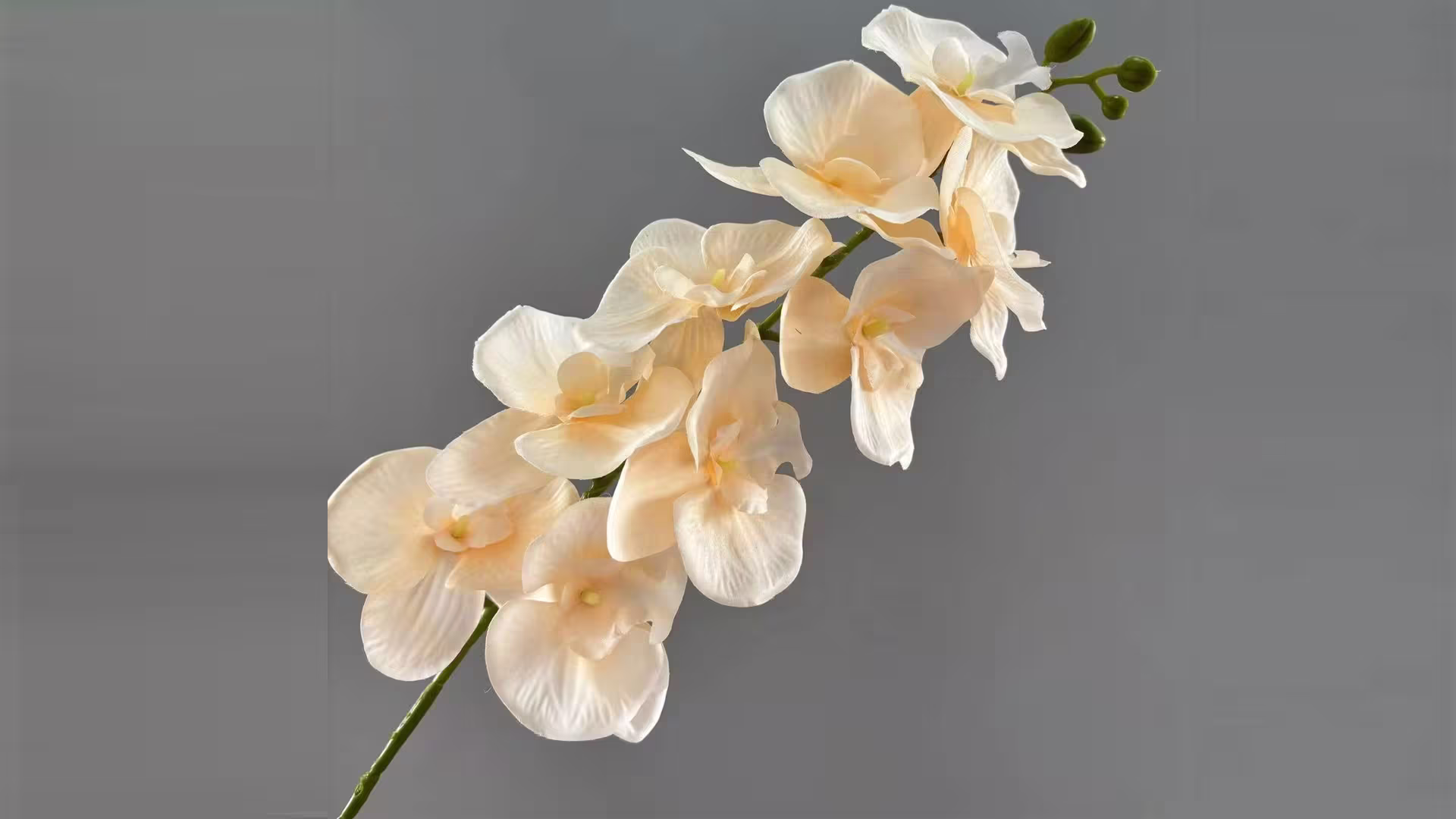 3D Larex Cymbidium Flowers Artificial Orchid Cymbidium Phalaenopsis Flower