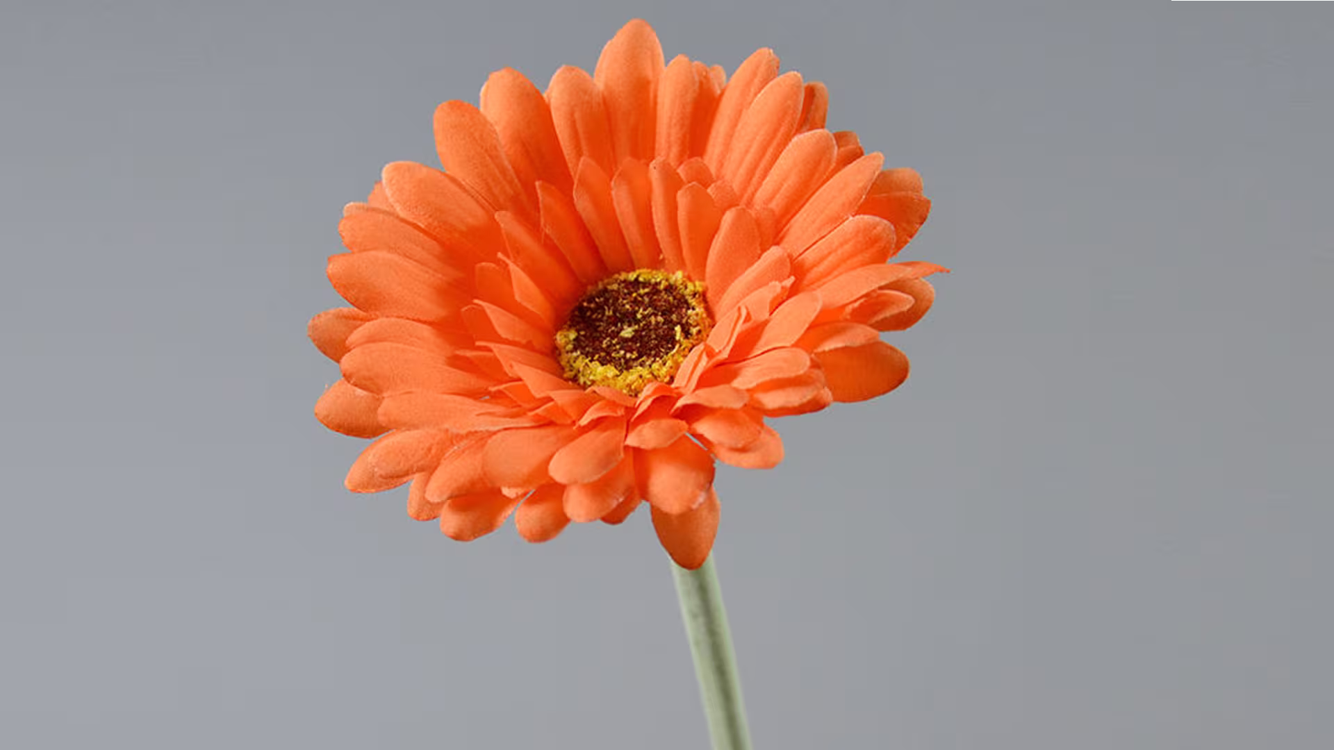 Real Touch Daisy Chrysanthemum Artificial Single Head Gerbera