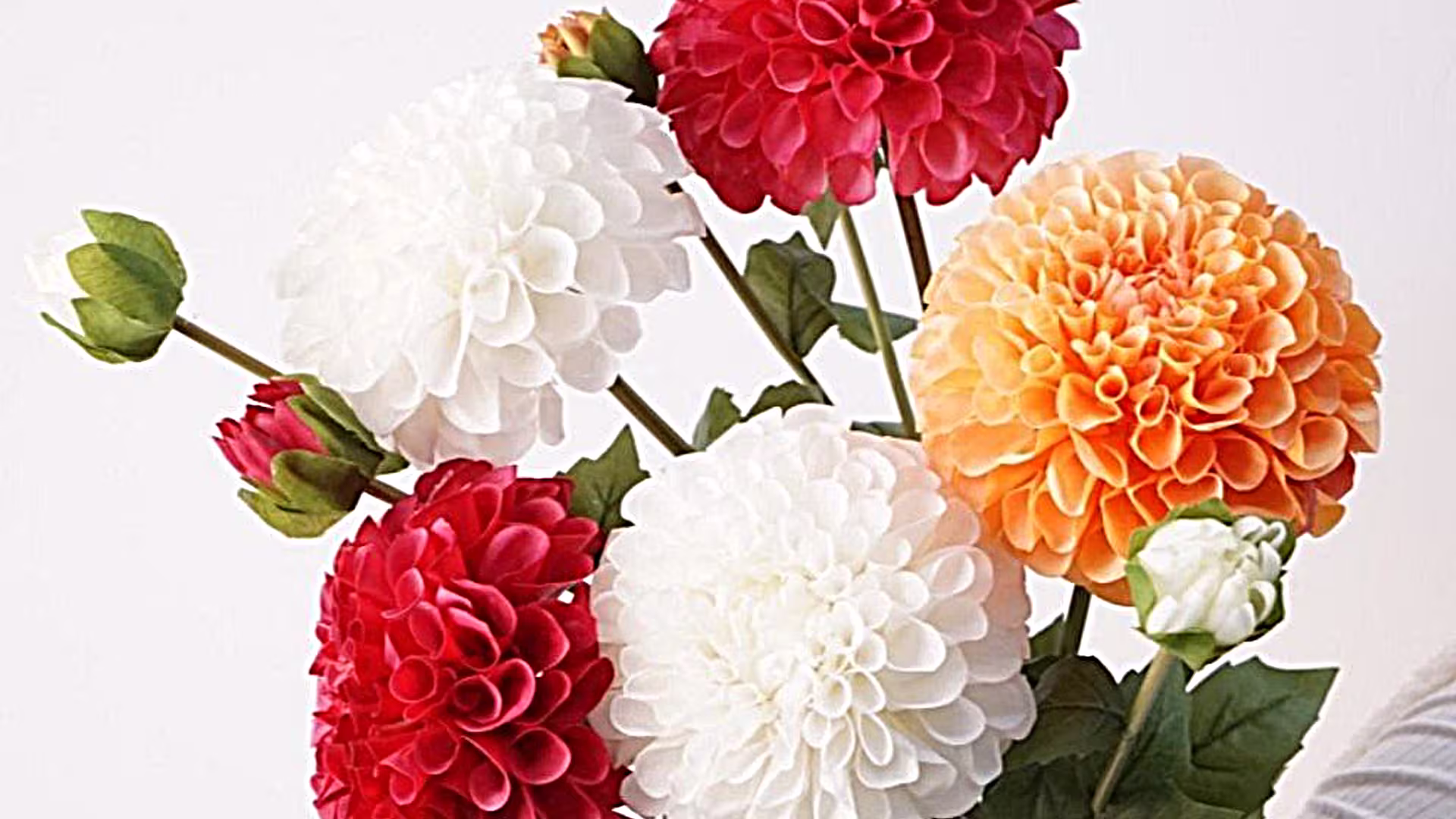 Artificial dahlia real touch Artificial White 2 Heads Dahlia Flowers