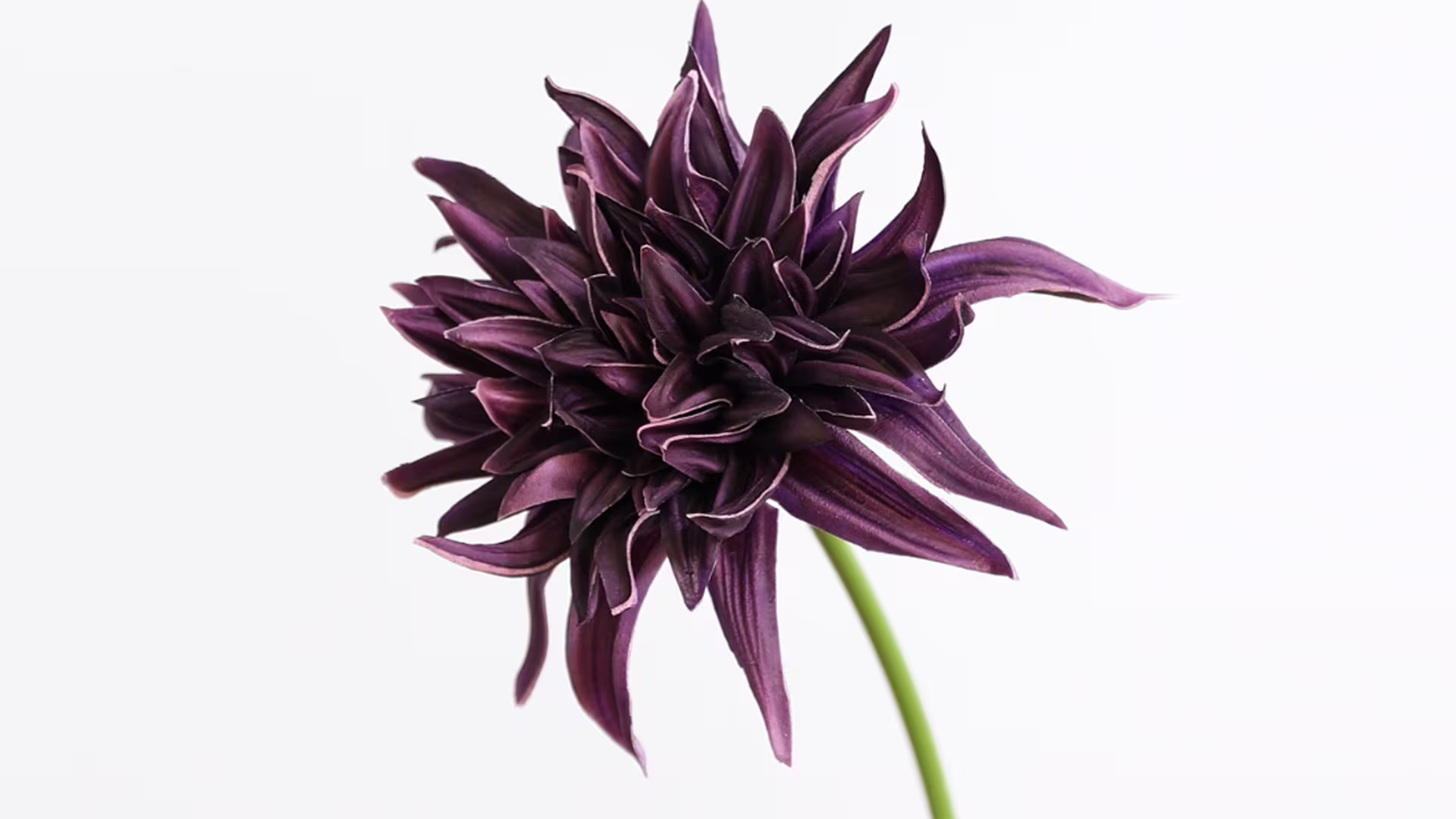 Single Stem Large Artificial Fabric Real Touch Dahlia Flower