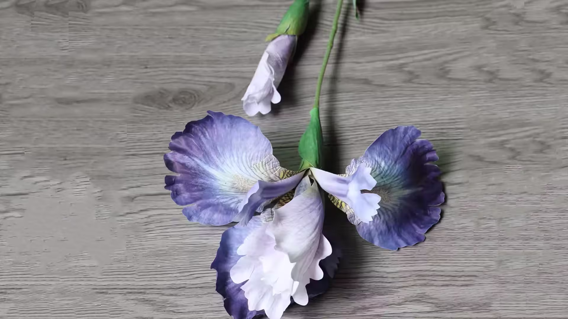  3D Printed White Purple Silk Cloth Artificial Iris Flowers