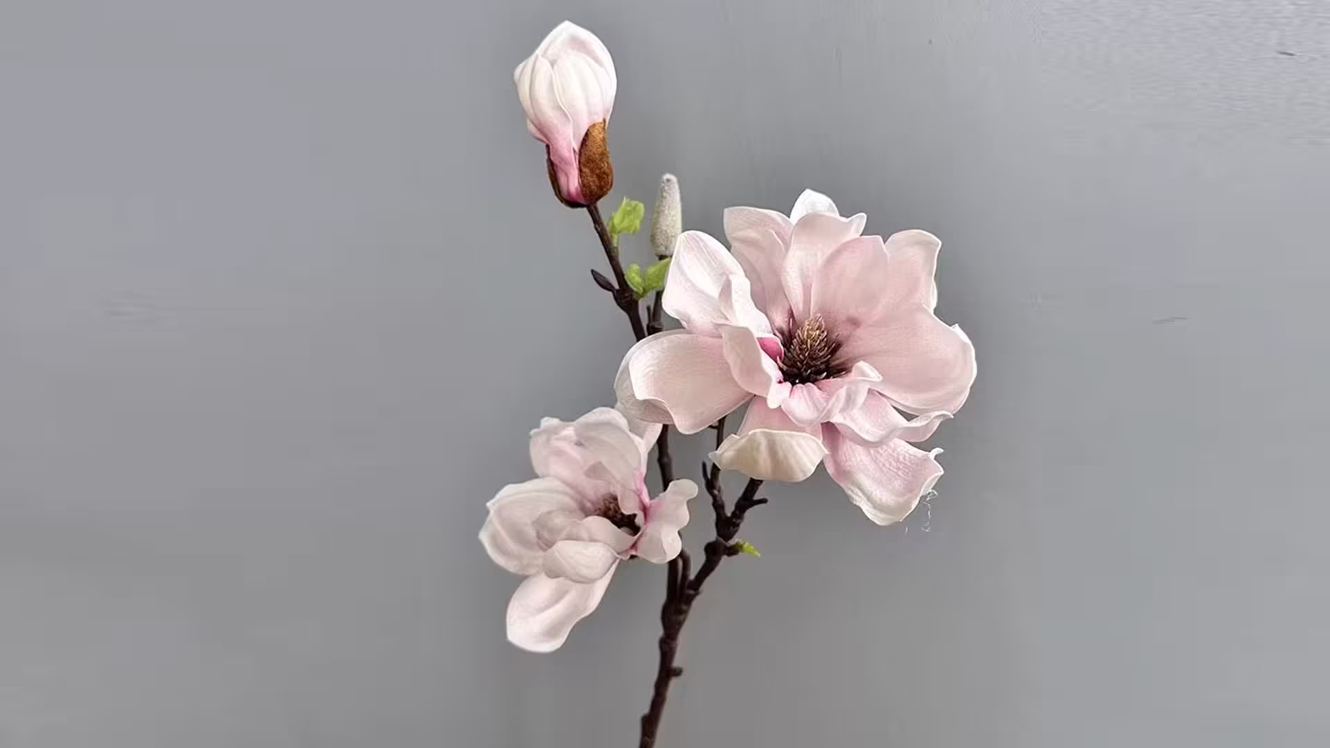 High Quality Simulated EVA Magnolia Artificial Flower 
