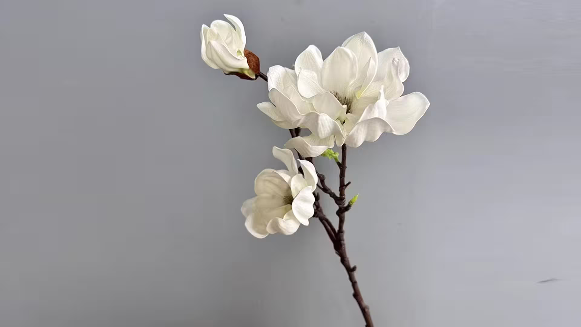 EVA Real Touch Flower Foam Magnolia Flower 3 Heads Long Branch Magnolia