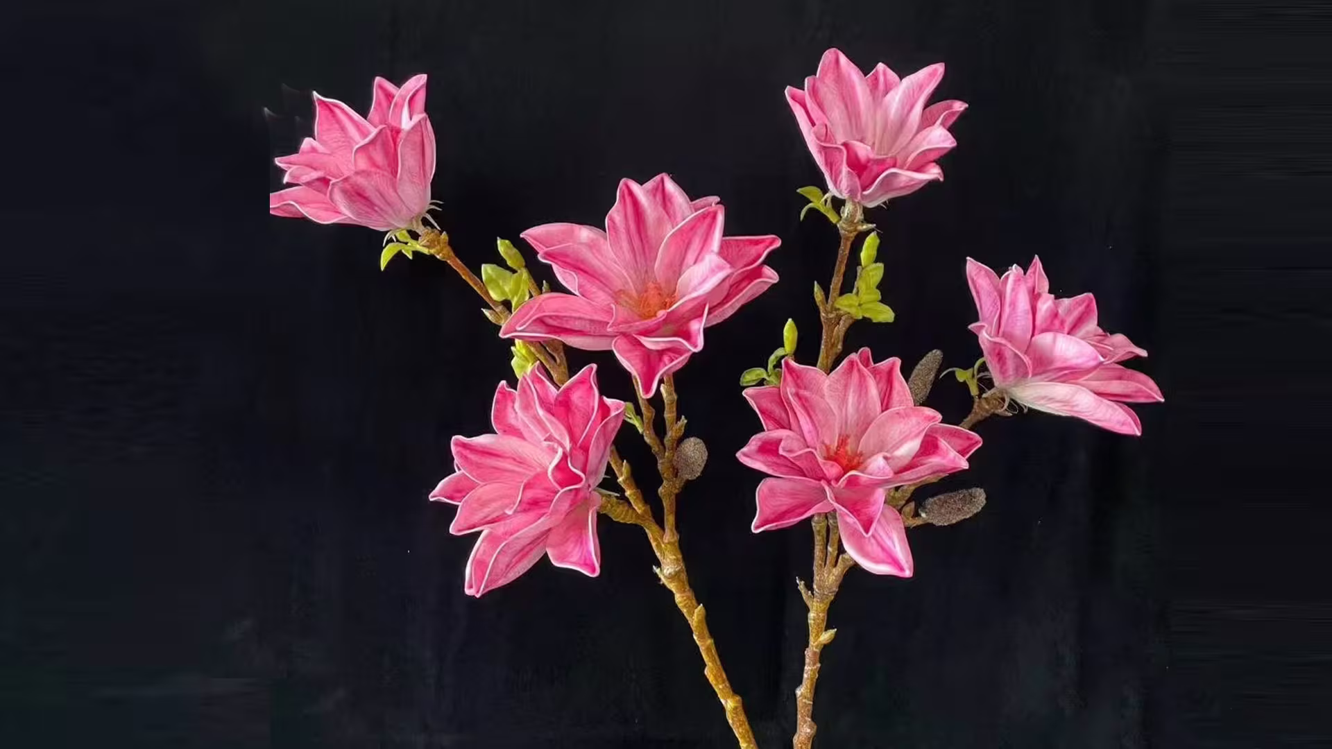 Home Decoration Real Touch  Flowers Artificial magnolia Flowers