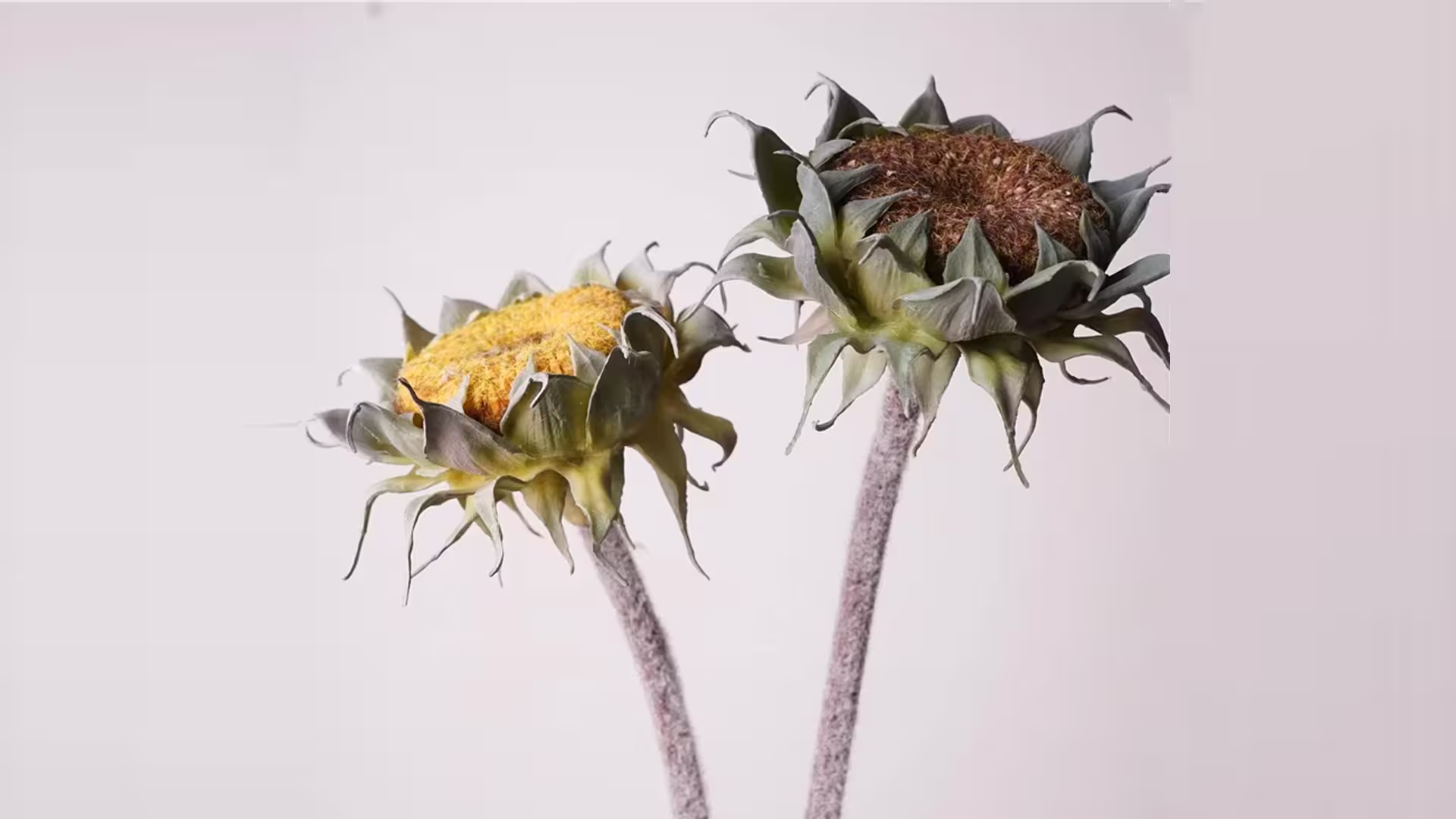 Artificial Flowers Sunflower Big Sunflowers Real Touch