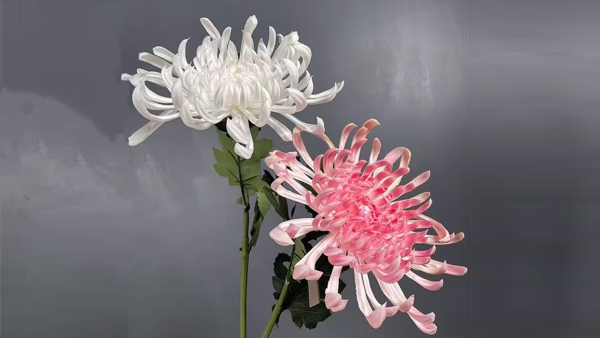 Artificial Chrysanthemum Flower Big PU Chrysanthemum