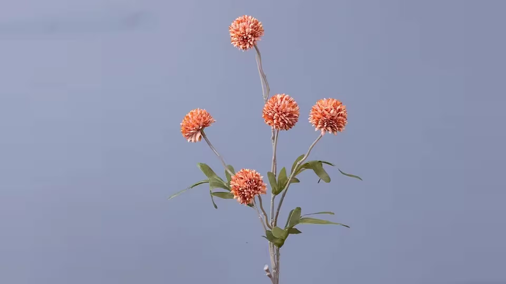 Artificial Dandelion Single Stem 5 Heads Faux Ping Pong Chrysanthe