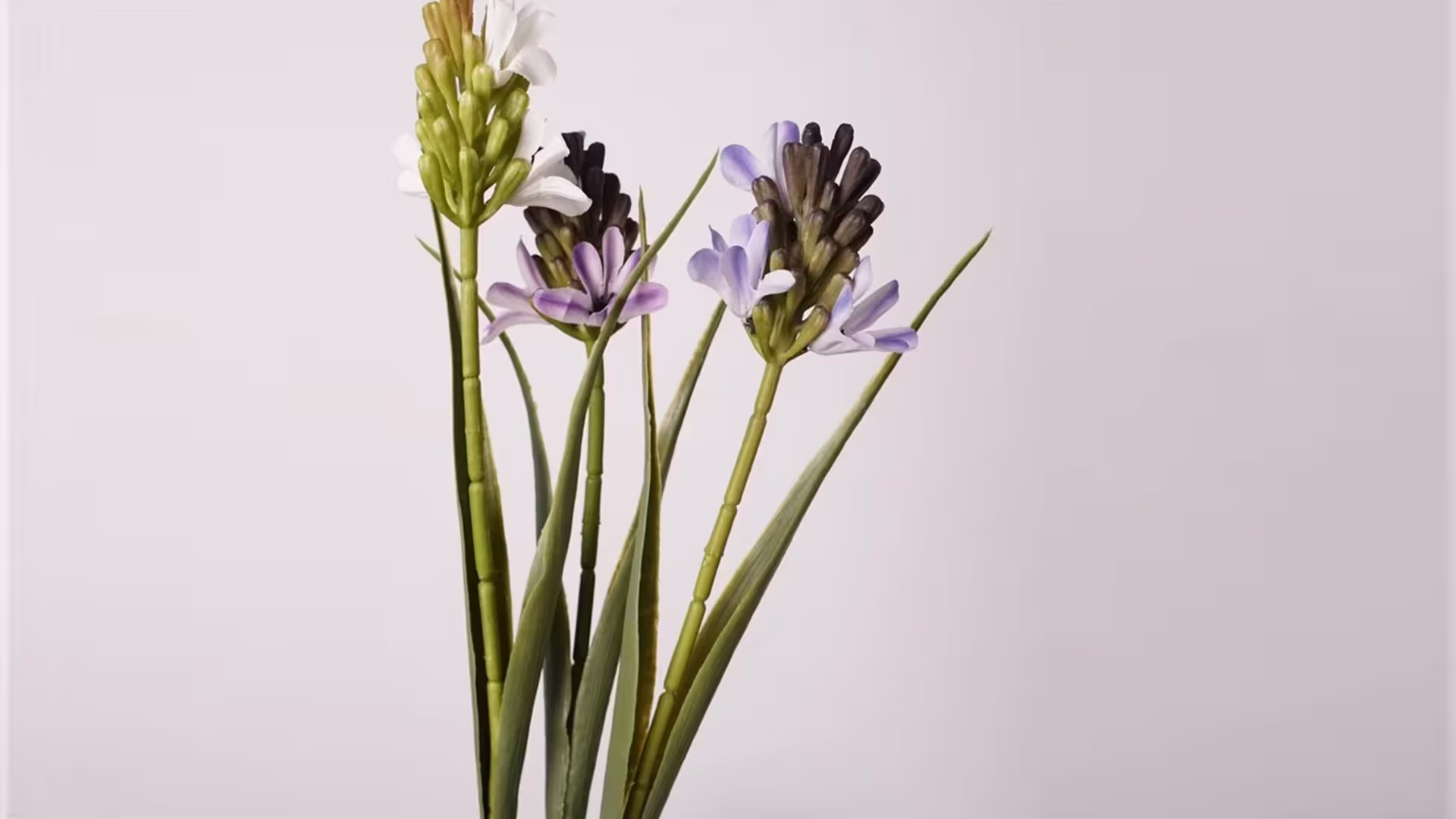 Artificial Hyacinth Flower 44cm 2 Leaves Silk Cloth artificial Flowers Wholesale