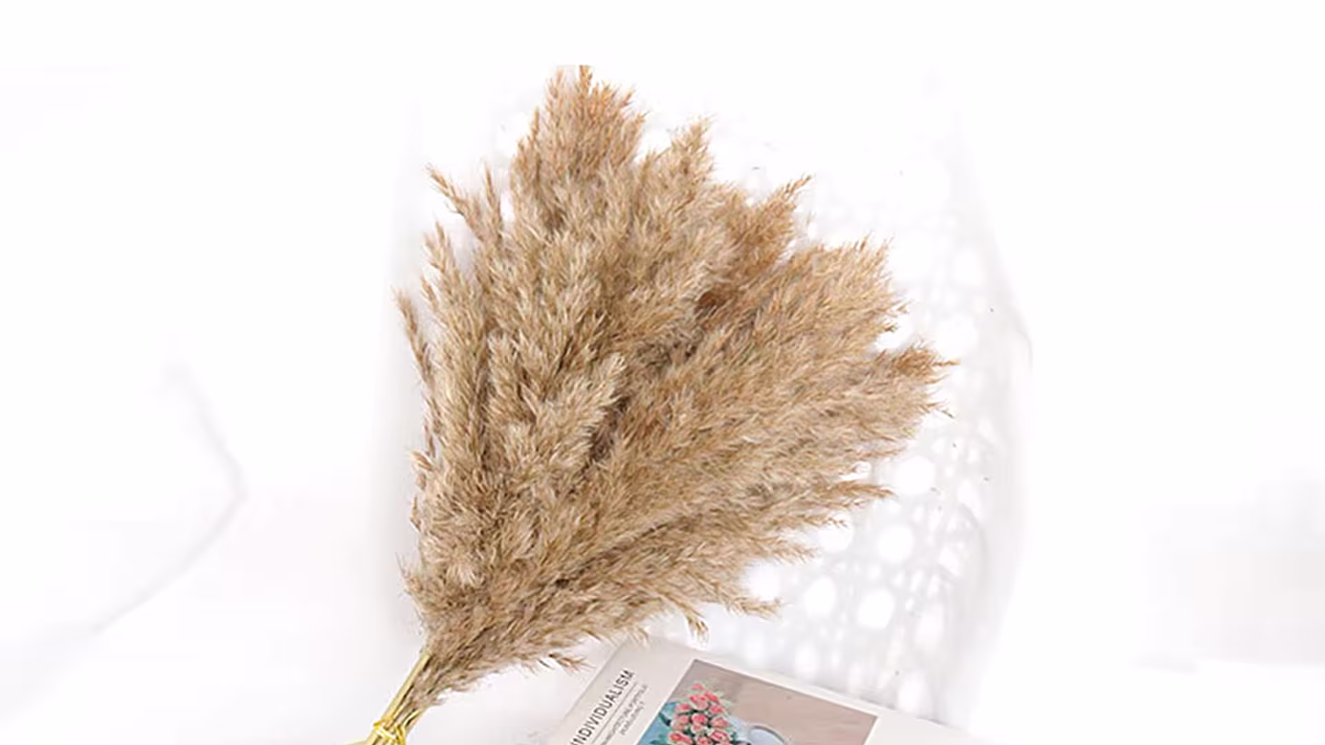 Multi-Color Fluffy Artificial Dry Reed Grass  Natural Reed Dried Flower