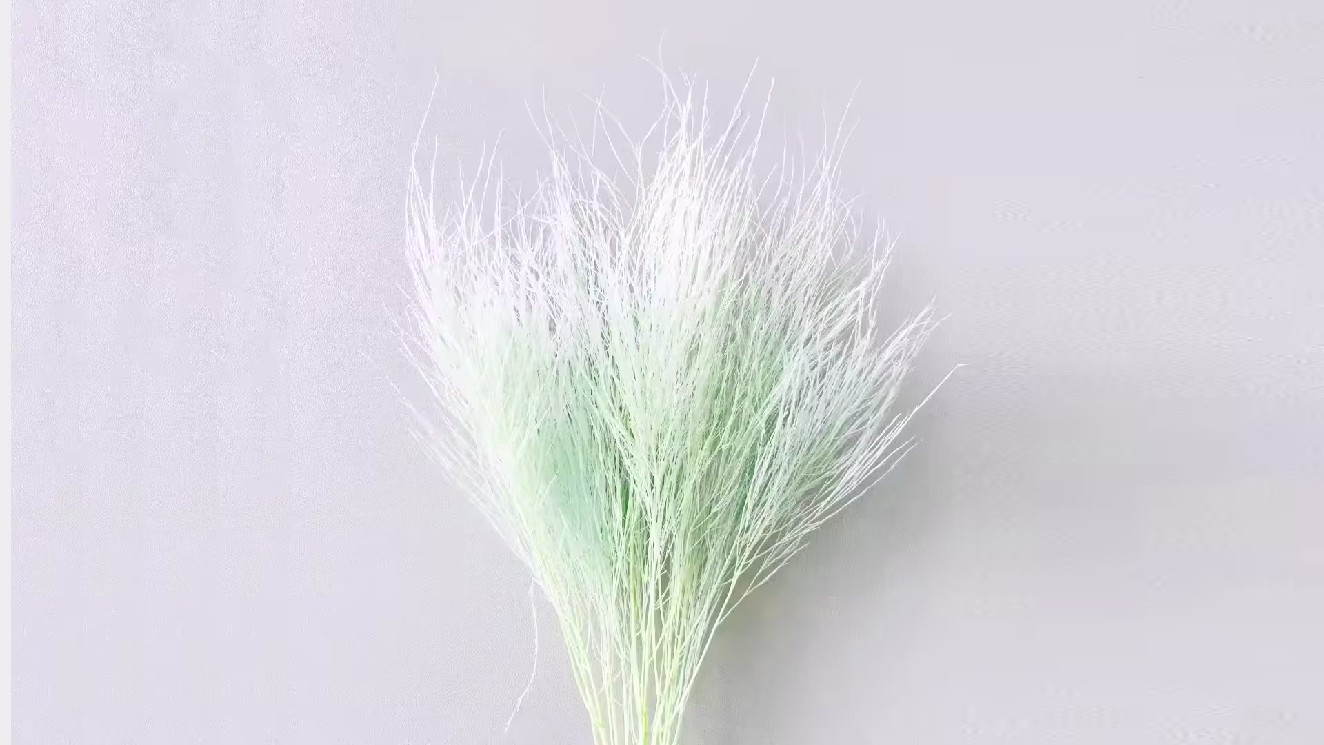  Natural Dried Flowers Preserved Plants Grass Bouquets 