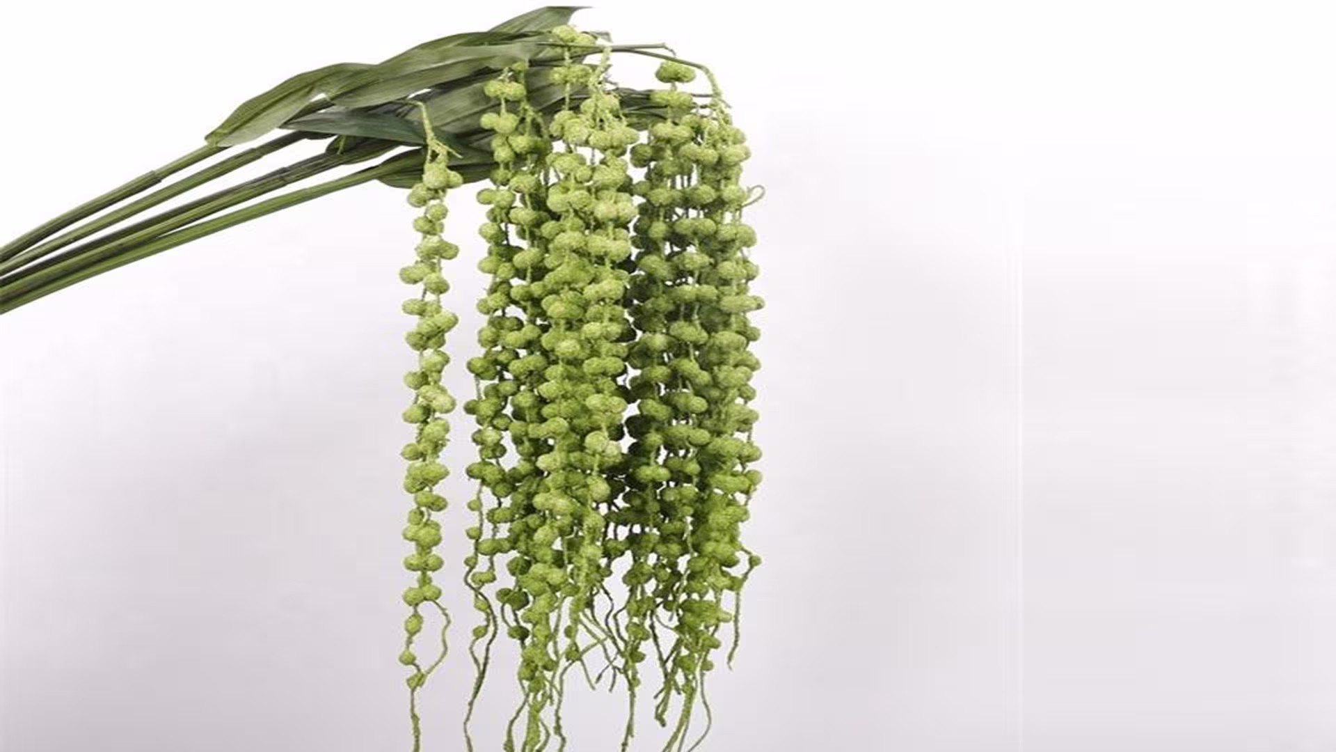 Artificial plants greenery Foliage Green White Amaranthus Plants 