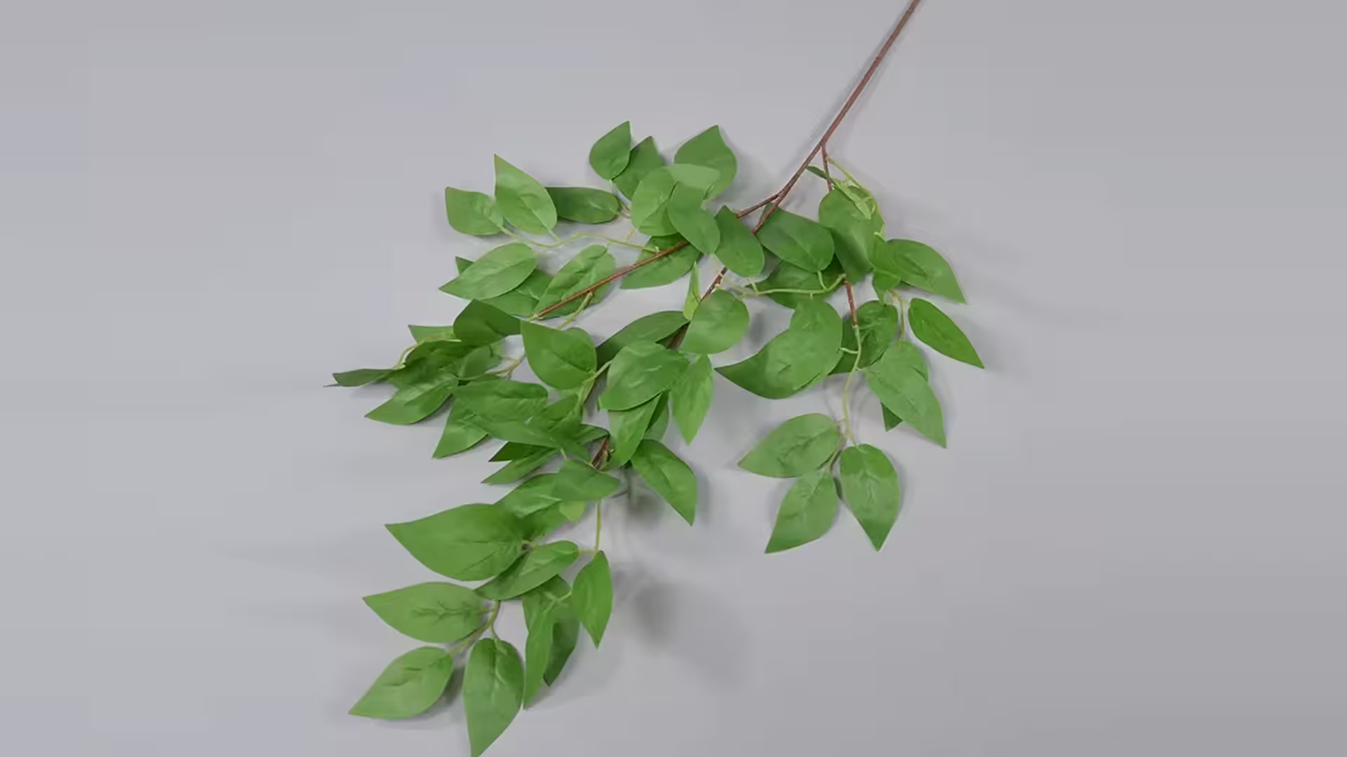 Artificial Ficus Leaves Artificial Olive Leaves Single Stem